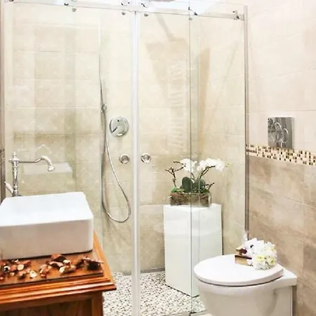Olympus B&B 2*