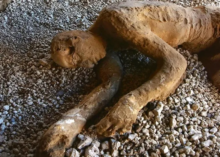 Olympus Гостьовий будинок