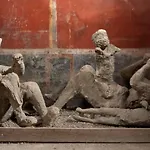 Olympus Affittacamere Pompei