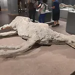 Olympus Affittacamere 3*