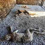 Affittacamere Olympus 3*