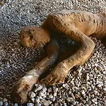 Olympus Affittacamere