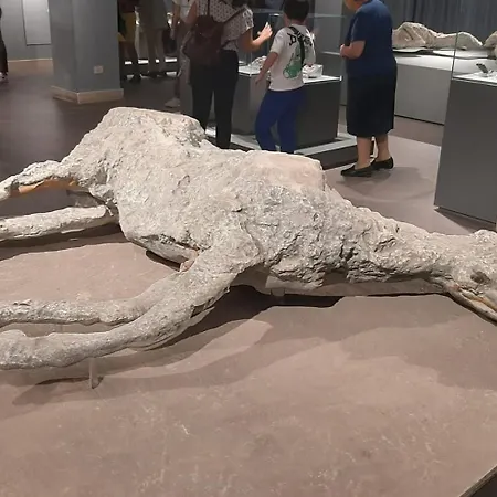 Olympus Bed & Breakfast 4*