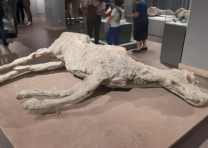 Olympus Vendégház 4*